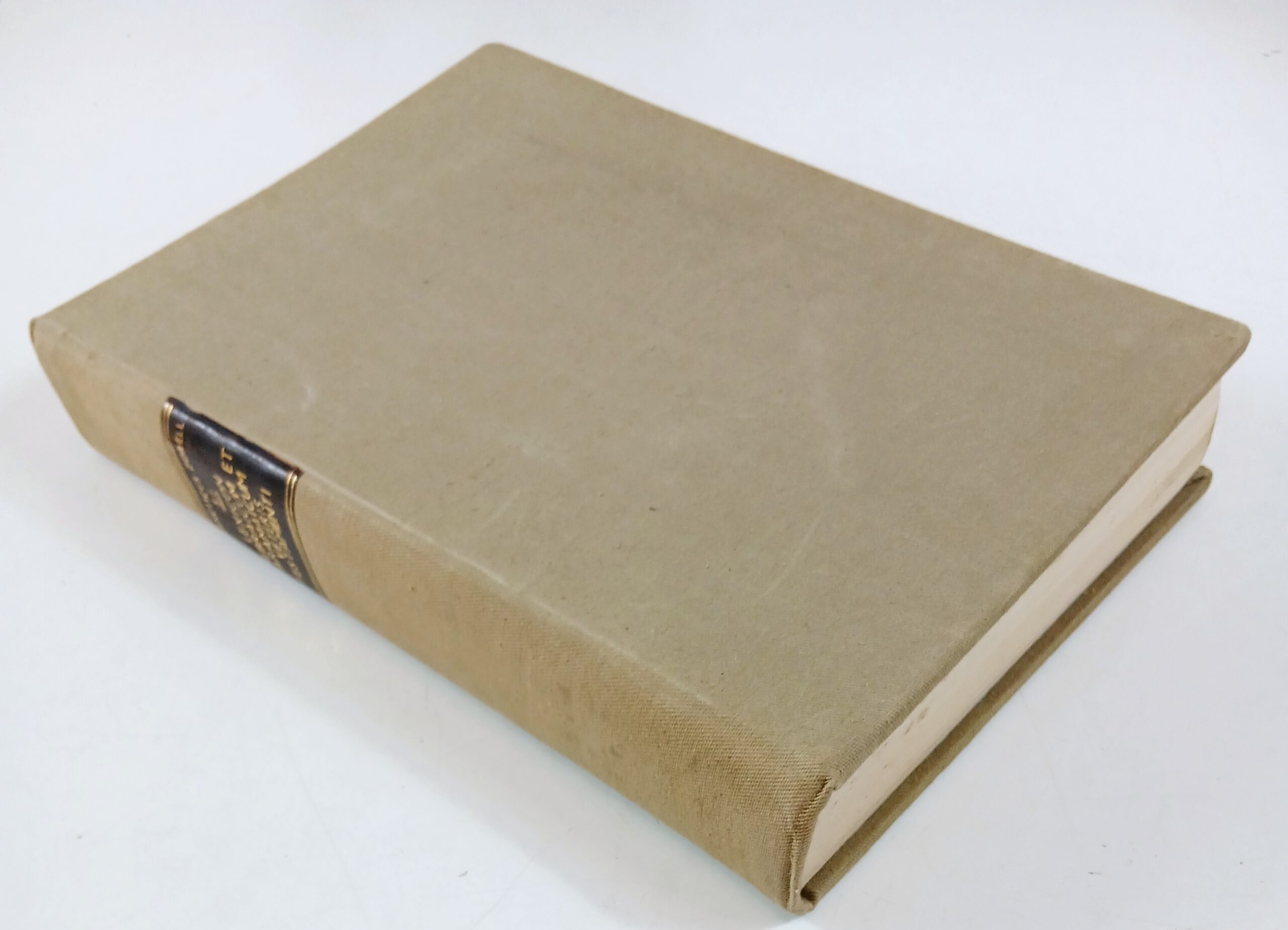 Dicionário Hebraico e Aramaico do Antigo Testamento — Franz Zorell (1948)