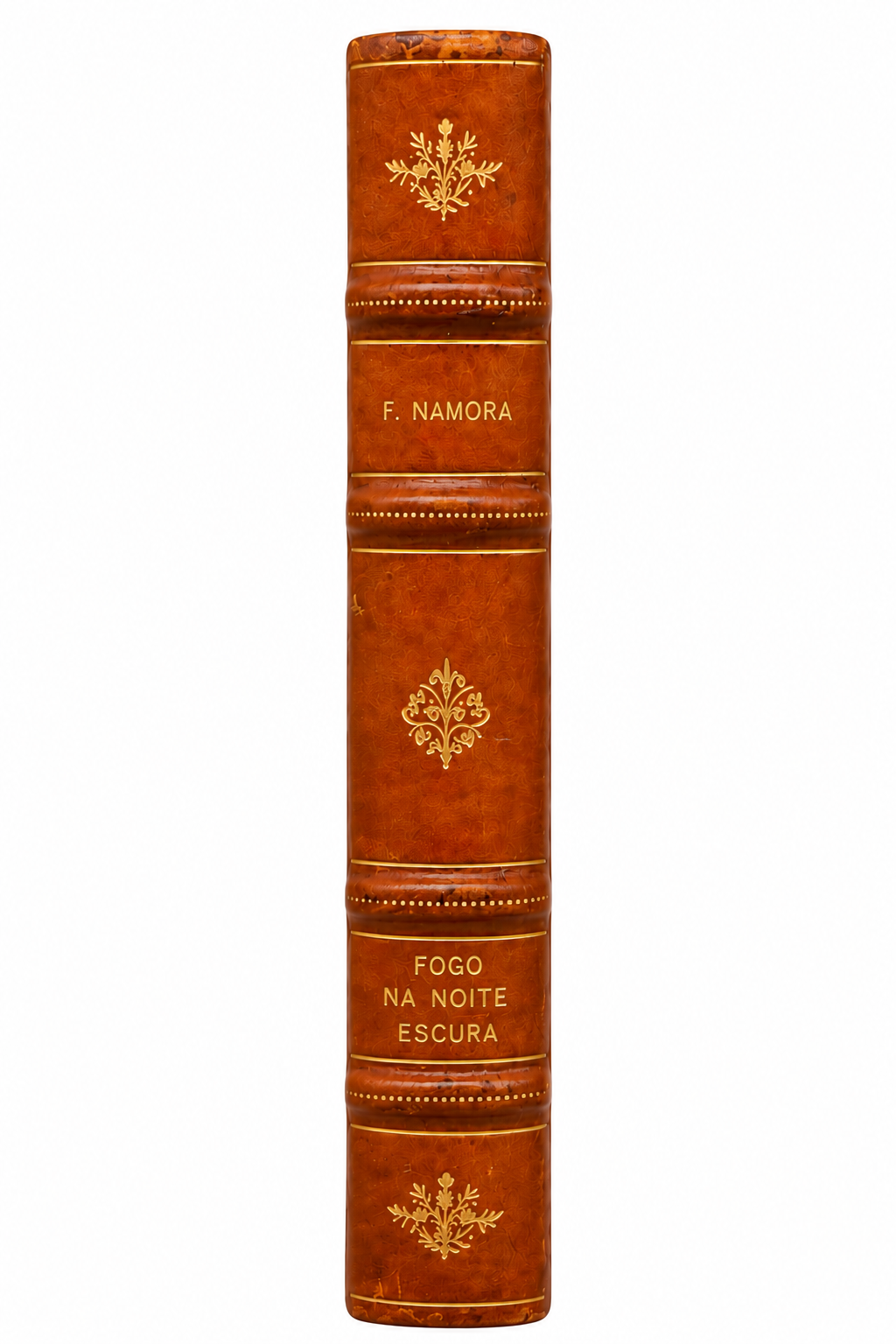 Fogo na Noite Escura (1943) — Fernando Namora — Primeira edição