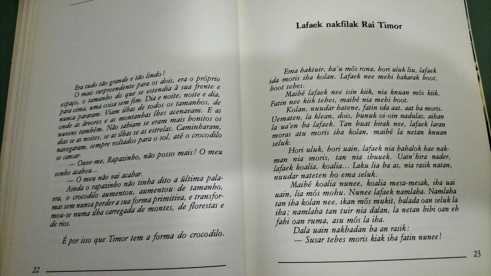 Cantolenda Maubere — Lendas de Timor ilustradas | Fernando Sylvan - Image 3