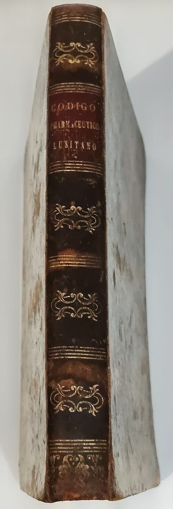 Código Pharmaceutico Lusitano — Agostinho Silveira Pinto — 1858 - Image 2