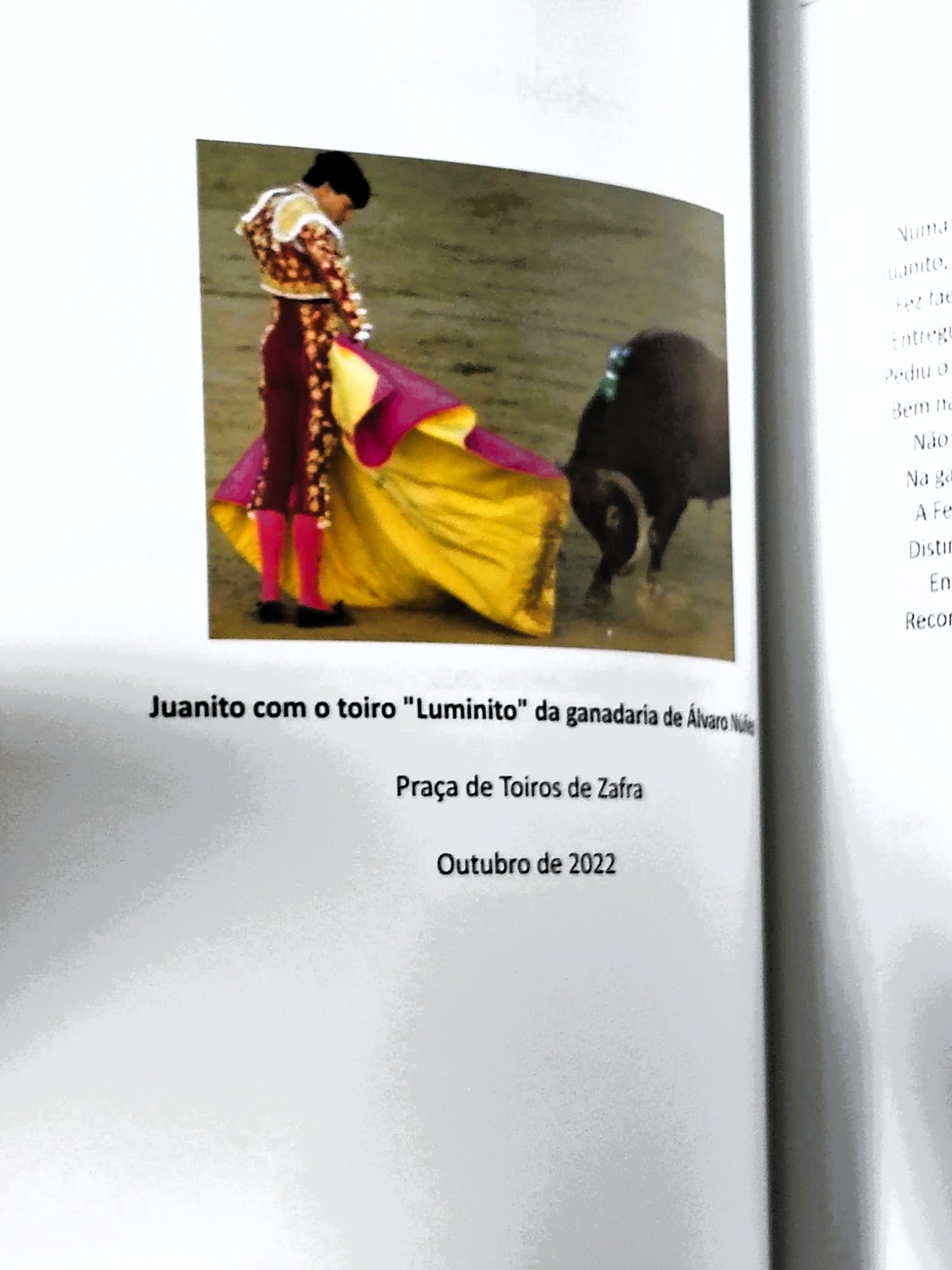 Haja Toiros — Manuel Peralta Godinho e Cunha — 1.ª Edição 2022 - Image 6