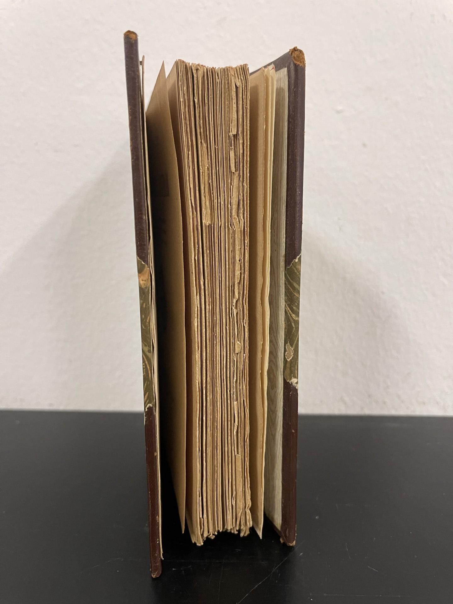 Portugal Literari — Ignasi Ribera i Rovira | 1912 - Image 4