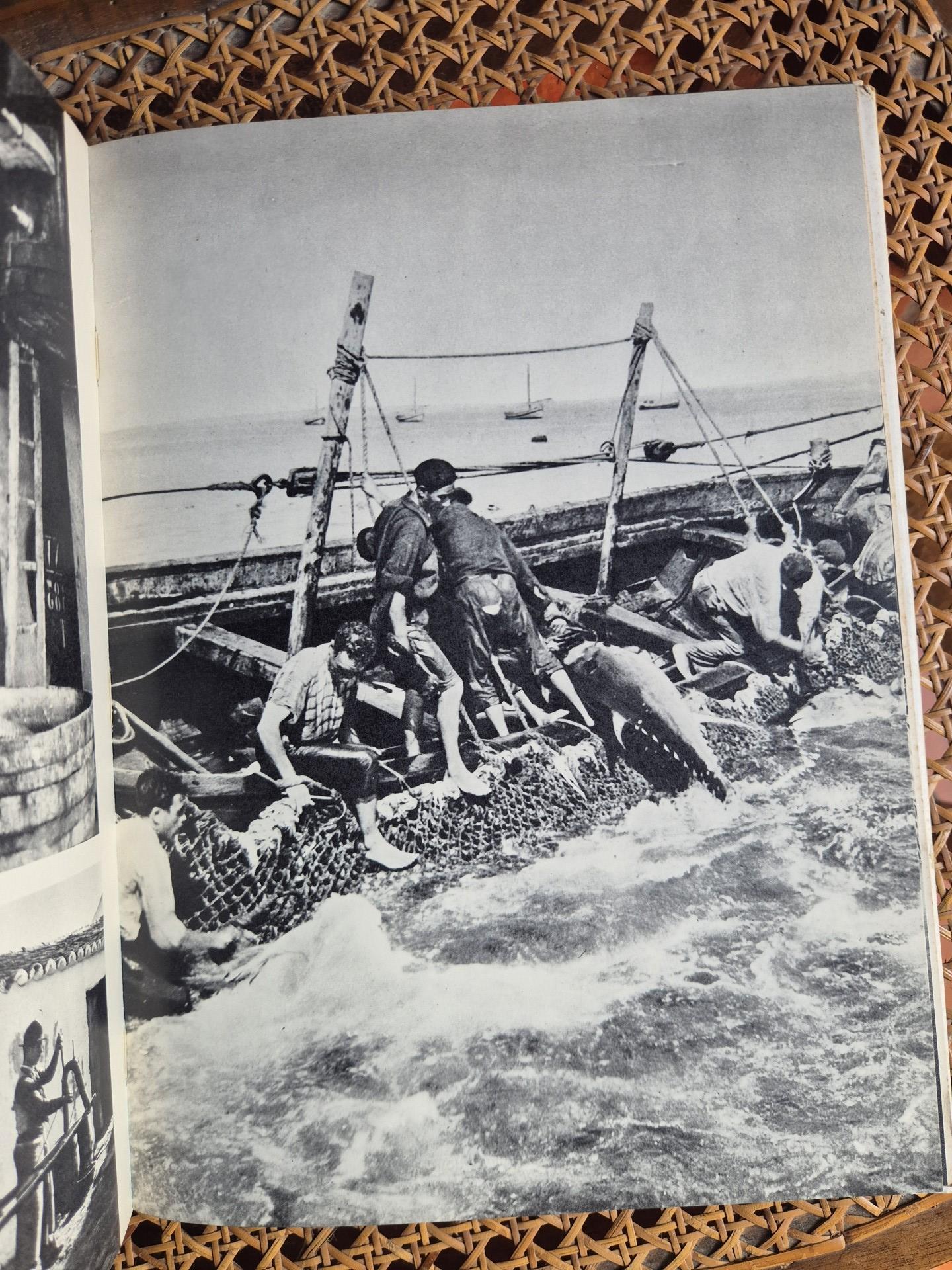 Portugal Terra de Vinho - 1963 – Mascarenhas Barreto e Carlos Branco - Dedicatória e Edição Trilingue - Image 6