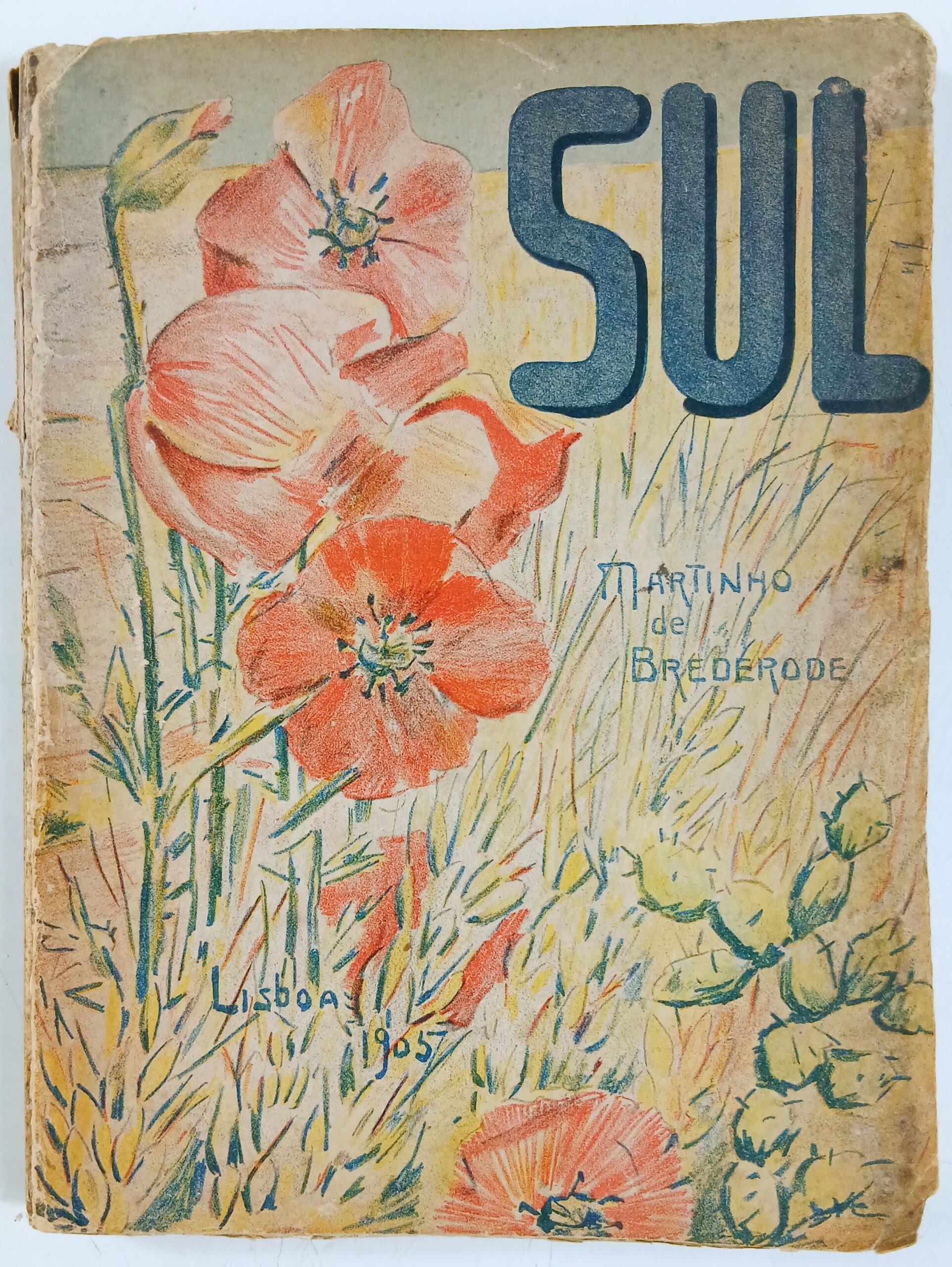 Sul – Martinho de Brederode | 1.ª Edição Autografada (1905)