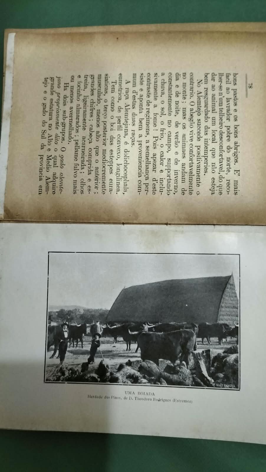 O Alemtejo em 1911 — Mário Vieira de Sá | Livro antigo - Image 5
