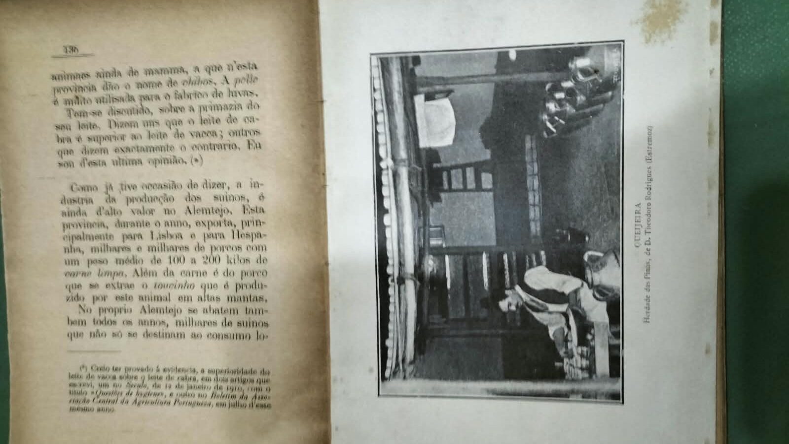 O Alemtejo em 1911 — Mário Vieira de Sá | Livro antigo - Image 6