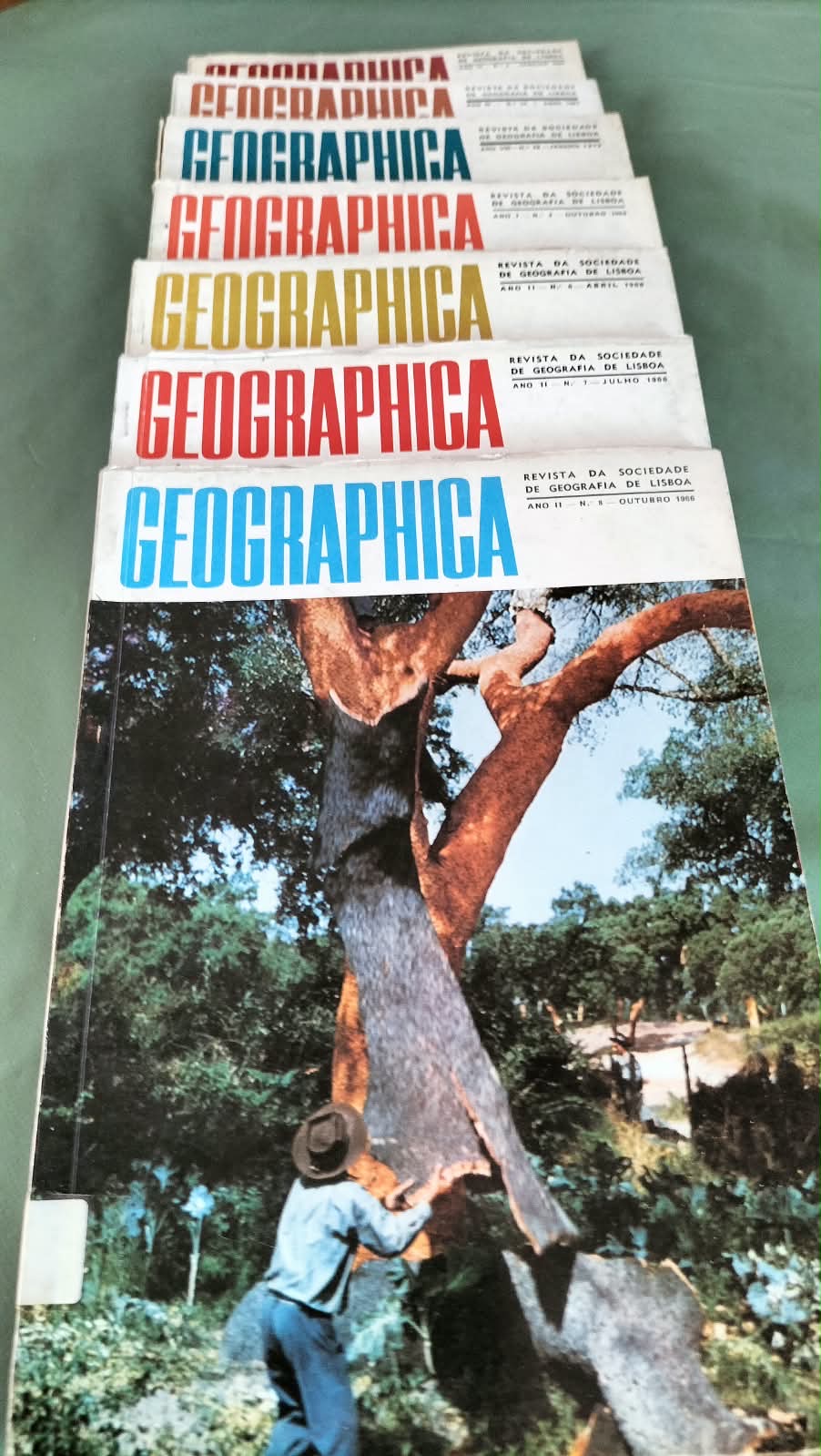Geographica — Lote de 7 Revistas da Sociedade de Geografia de Lisboa - Image 2